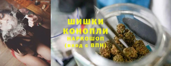 стаф Балахна