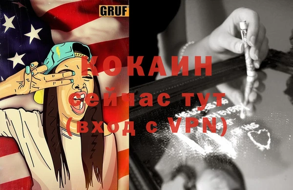 стаф Балахна